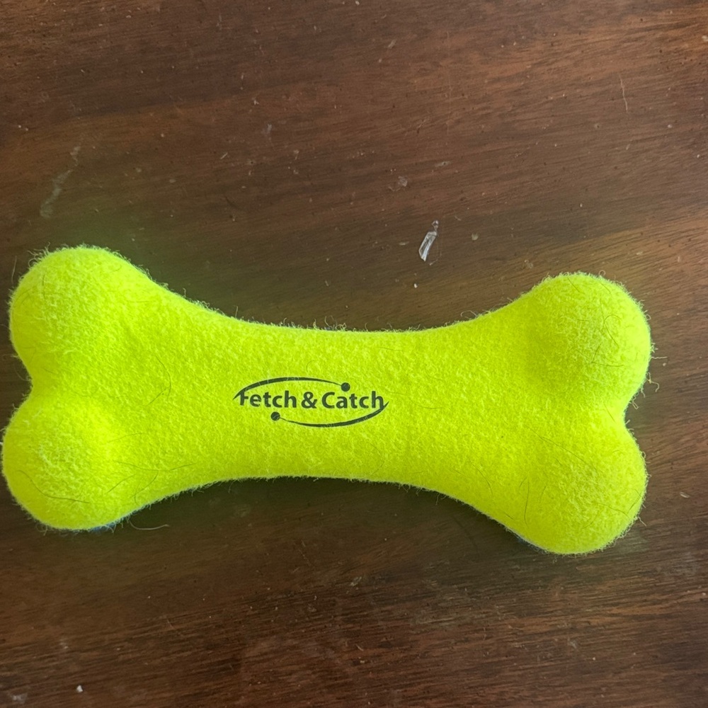 Neon Yellow Dog Squeaky Toy